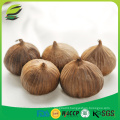 China fermented black garlic seeds